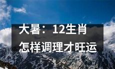 如何在大暑期间调理12生肖以获得旺运？