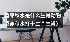 究竟是哪一个生肖动物闻名望穿秋水这一成语？让我们来猜猜“望穿秋水”中隐藏的十二生肖动物吧！
