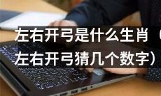 猜猜左右开弓是哪个生肖?尝试猜测一下左右开弓指的是哪些数字!