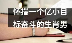 头上三尺古铜色丝鸡冠，怀揣一个亿小目标奋斗的励志生肖男，用自己的热血与汗水推动着人生的轨迹！