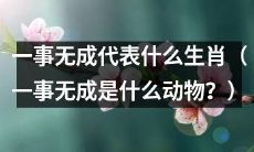 究竟是哪种生肖代表“一事无成”？