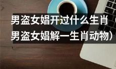 男盗女娼所归属的生肖动物是什么？（揭秘男盗女娼所属的生肖动物）