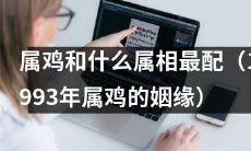 1993年属鸡的人,他们最适合和哪个属相的人结为伴侣?