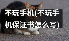 如何成功不沉迷于手机，达到提高效率、保障健康生活以及获得更多自由时间的目标？一份不玩手机保证书的撰写流程详解！