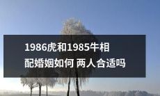1986年出生的虎和1985年出生的牛,会不会在婚姻中形成完美的组合?