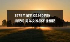 男属羊女属猴是否适合相互搭配？1979年的属羊与1980年的属猴是否具有良好的相克关系？