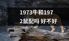 在十二生肖中，1973年的黄牛和1972年的鼠是否能成为完美的配对？