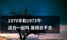 1979年出生的羊和1973年出生的牛是否属相相容，合适一起生活？