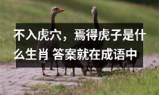 探究生肖之谜:不入虎穴,焉得虎子?成语坐标揭示真相!