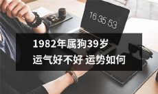 1982年出生的属狗人,即将迈入39岁,运势如何,究竟是喜是忧?