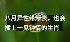 时逢八月异性缘红火，恰好碰见一见钟情的星座