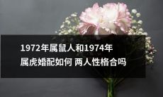 1972年出生的属鼠人与1974年出生的属虎人匹配度如何？从性格角度来看是否相容？
