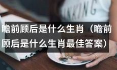 什么生肖善于瞻前顾后并给出最佳答案？