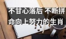 属相：不满足于落后，一直拼搏向上的勤劳动物