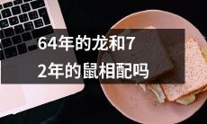 龙与鼠：询问64年与72年生肖的是否兼容的比较