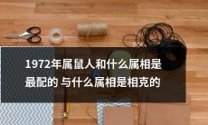 1972年属鼠人与哪些属相最配？哪些属相会与其相克？