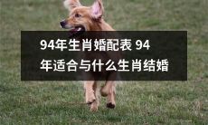 1994年生肖婚配表：究竟哪些生肖适合与94年出生的人结婚？