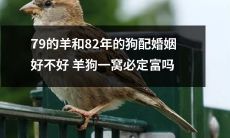将79年的羊与82年的狗联姻，获得财富和幸福的可能性有多大？是否可以确定这对羊狗夫妇的结合一定会走向成功？