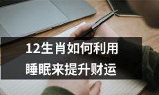探究12生肖如何利用科学有效的睡眠来提升财运并达到事业成功的方法和技巧