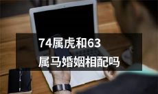 对74属虎和63属马的结合进行婚姻配对研究:是否适合?