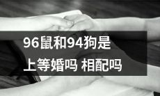 能否将96年生肖鼠和94年生肖狗视为相得益彰、天作之合的优秀姻缘？