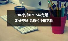 1982年出生的狗和1975年出生的兔子的婚姻成功概率如何？究竟是兔子克制了狗，还是狗胜出？