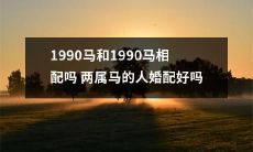 1990年出生的两只属马的配对是否适合？他们的婚姻是否能够获得成功？