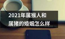 2021年属猴人和属猪人的婚姻配对:猴猪年的喜事可否持续?