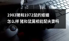 猪和鼠属相的结合——探讨1983年猪和1972年鼠的婚姻是否可行？
