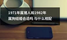 1971年属猪人和1982年属狗结婚是否有相配的星座配对，以及哪些因素会影响他们的婚姻成功率？