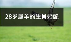 28岁的属羊人如何选择适合自己的生肖配偶？