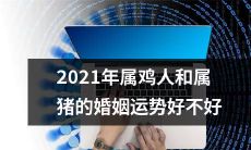 2021年属鸡和属猪的婚姻运势如何?会是顺遂幸福的一年吗?