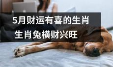 威名赫赫的5月财源滚滚来袭，喜星高照的生肖中幸运之兔搭乘好运飞奔，金钱之路异常亮丽，财富滋润生活美滋滋