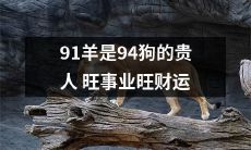 91年出生的羊,是94年出生的狗的吉祥之星,能为其招来事业发展和财运兴旺