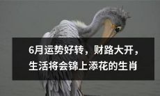 6月运势大好，财运亨通，生活品质因此更加优越的十二生肖