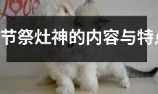 探究中国传统春节祭祀灶神的习俗、仪式与文化特点