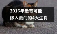 2016年注定成为豪门妻子的最有可能的4个生肖