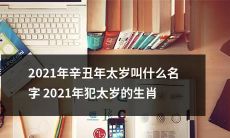 哪些是2021年辛丑年的太岁，会影响哪些生肖？