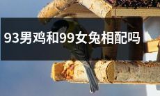 “能否将93年出生的雄性鸡与99年出生的雌性兔成功进行交配？” - 一个关于生物学基因组匹配和交配成功率的探讨