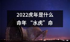 2022年“水虎”命年——探究虎年的吉凶流年及其象征意义