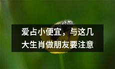 警惕小心眼、好占便宜!与以下五大生肖交友需慎重:详解内在特征与为何易偏好占便宜的原因