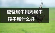 父母均为属牛，那么孩子应该属于什么属相呢？