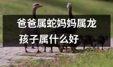 根据生肖计算：有一位父亲属蛇、一位母亲属龙，那么他们的孩子应该属于哪个生肖呢？