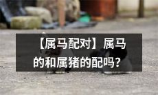 【十二生肖属马的人和属猪的人配对】是否能够取得如意美满的感情关系？