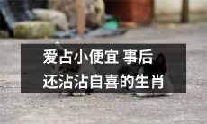 十二生肖中那些享受小利益却自以为是的自鸣得意之徒