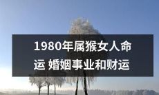 1980年出生的属猴女性：探讨婚姻、事业和财富走势的综合命运分析