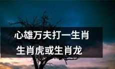 心雄万夫合力打败挑战者：生肖虎或生肖龙