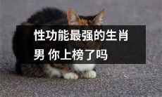 你的性功能是否与十二生肖中被评为最强的男性相提并论？