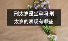 刑太岁的违规行为及其可能遭遇的监禁制裁：您需要了解哪些？