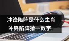 什么是冲锋陷阵？请猜一下与生肖相关的数字